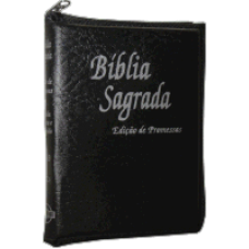 Biblia Sagrada ref 221 - (edição promessas) / Letra pequena
