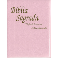Biblia Sagrada Pequena - (edição promessas) / Letra Grande
