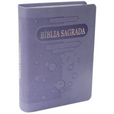 Biblia Sagrada - letra Grande - (NTLH 045 LG) Diversas Cores