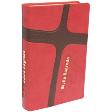 Biblia Sagrada - letra Gigante - (NTLH 065 LGCRUZ) - capa cruz