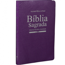 Biblia Sagrada - letra maior - RA065 capa flexível borda pintada