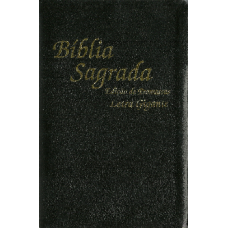 Biblia Sagrada Média - (edição promessas) / Letra Gigante