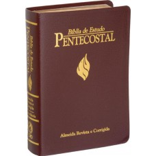 Biblia de Estudo - Pentecostal com Harpa (pequena)