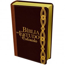 Biblia de Estudo Colorida (NVI - Duotone Luxo)