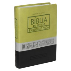 Biblia de Estudo Esquematizada - grande verde ( RA 085 EESQ )