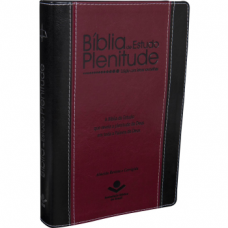 Biblia de Estudo - Plenitude nova edição ( ARC085TIBPPJV ) Grátis Edição Digital