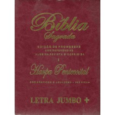 Biblia Sagrada Edição Promessas - harpa e corinhos - Letra Jumbo (zíper)