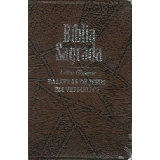 Bíblia Sagrada Letra Gigante - Indíce borda pintada PJV - ARC