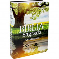 Biblia Sagrada Nova Almeida - letra Gigante - (NA 061 TILGI) Flexível