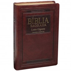 Bíblia Sagrada com Letra Gigante ( RA 065 TILGI com índice) - Notas e Referências